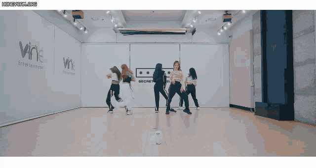 a group of women are dancing in a dance studio with the words vine entertainment on the wall