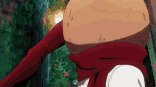 a close up of a person 's torso with a scarf around their neck
