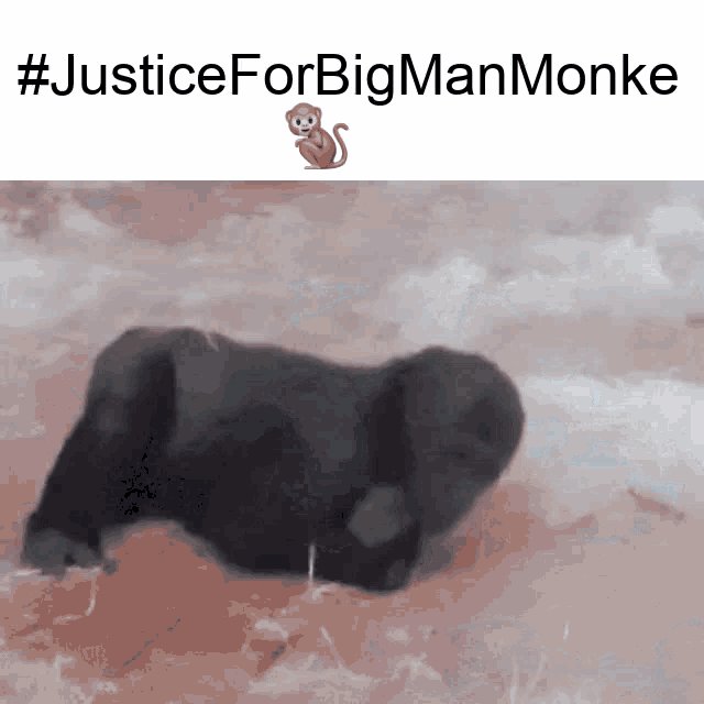 Bigmanmonke Justice GIF - Bigmanmonke Justice Free GIFs