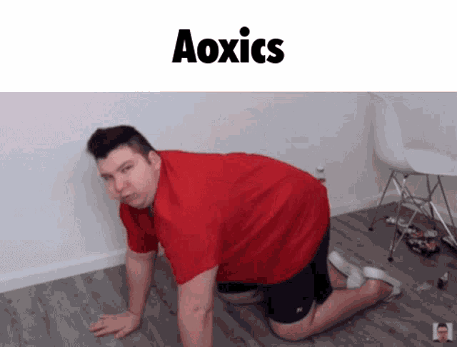 Aoxics Nikocado GIF