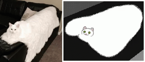 Cursed Cat Rug GIF - Cursed Cat Cat Rug GIFs