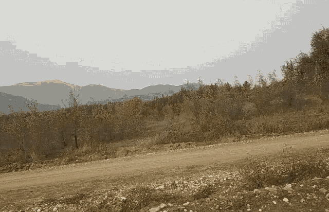 a dirt road with mountains in the background and trees in the foreground