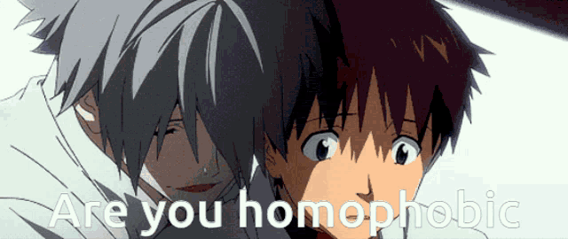 a couple of anime characters with the words " are you homophobic "
