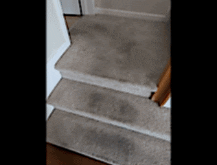 a dirty carpeted staircase with a wooden railing .