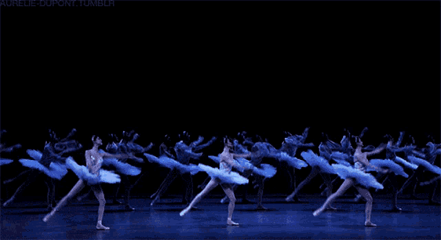 a group of ballerinas are dancing in a dark room with the words aurelle-dupont.tumblr visible in the upper right corner