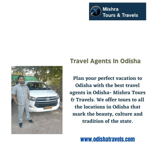 Travel Agents In Odisha GIF