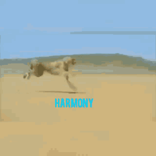Harmony Harmony Protocol GIF - Harmony Harmony Protocol One GIFs