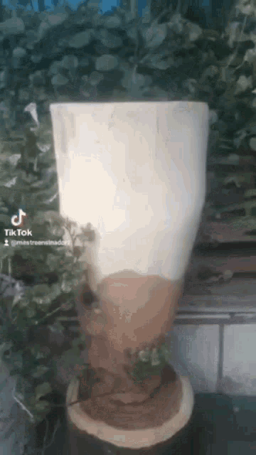 a tik tok video of a wooden vase with a plant in it