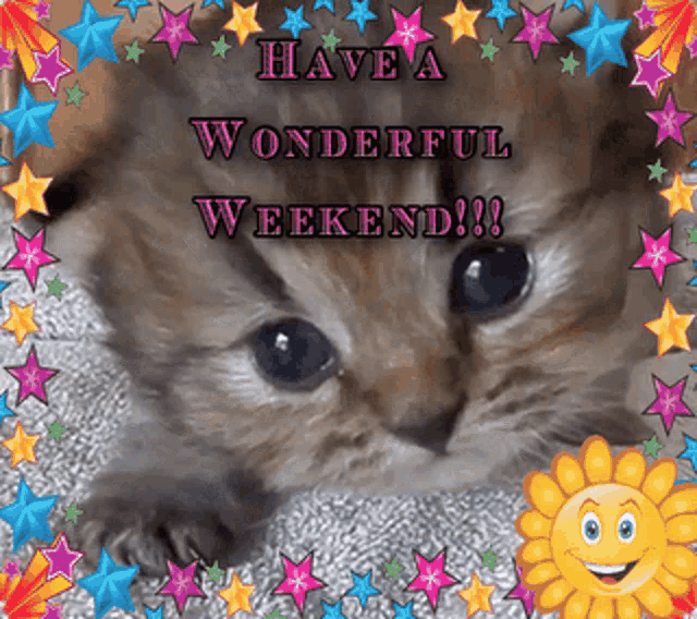 a picture of a cat with the words have a wonderful weekend