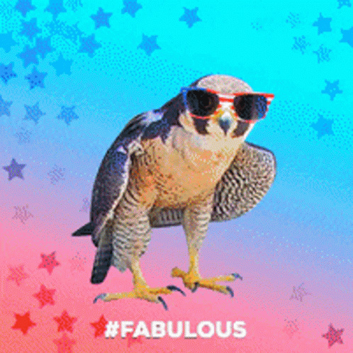 Falcon Fabulous GIF