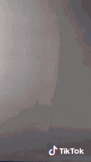 a tik tok video shows a person standing in front of a white wall .