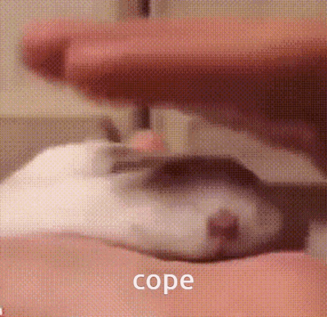 Cope Seethe GIF - Cope Seethe Flat GIFs