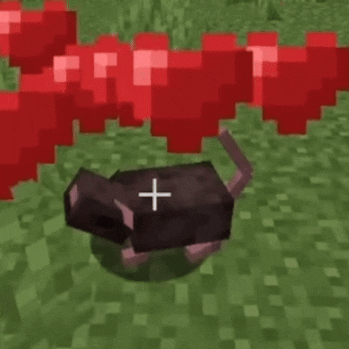 a black mouse in a minecraft game with a cross on its head .