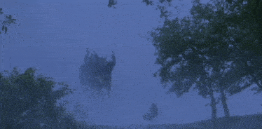 a monster with horns is visible in the fog