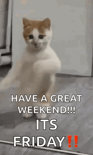 a cat is dancing on its hind legs with the words `` have a great weekend !!! its friday '' .