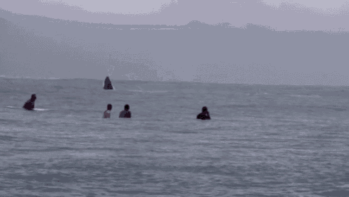 a group of people are swimming in the ocean with a large wave coming in