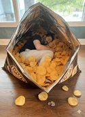 a person is sleeping in a bag of chips on the floor .