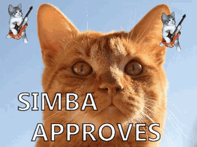 Simba Approves Cat GIF - Simba Approves Cat Playing Guitar GIFs