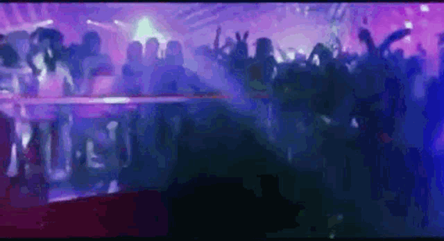 Legends Of Delight Concert GIF - Legends Of Delight Concert Party Time GIFs