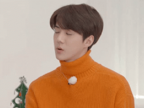 Exo Sehun GIF - Exo Sehun Oh Se Hun GIFs