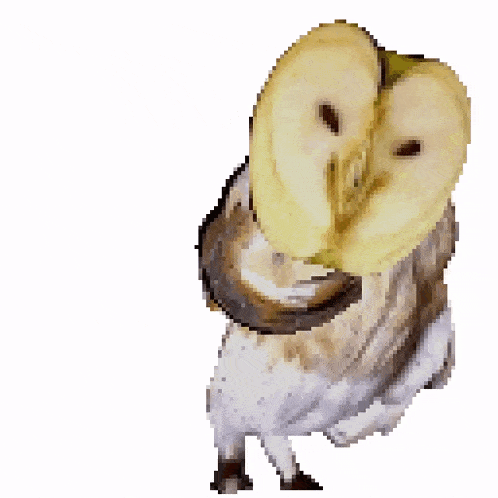 an owl holding a slice of apple in its beak