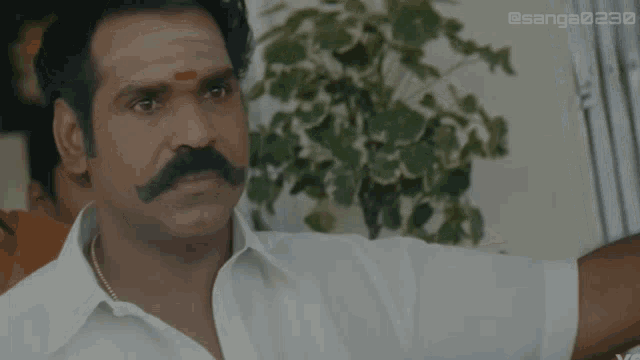 a man with a mustache and a red dot on his forehead is standing in front of a plant