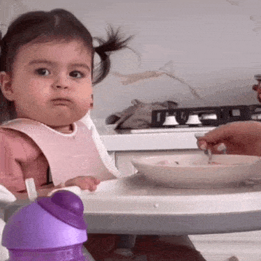 a baby girl wearing a bib and a purple bottle is sitting at a table