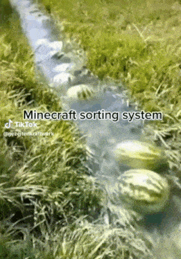 Minecraft Sorting System GIF - Minecraft Sorting System Minecraft Minecraft Sorting GIFs
