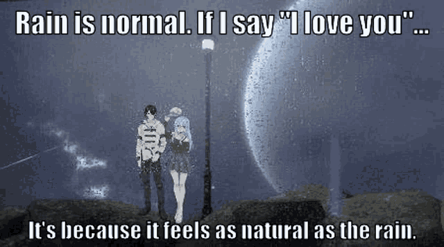 a man and a woman standing next to each other under a street light in the rain .