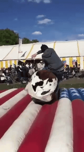 Drunk Cow Riding GIF - Drunk Cow Riding Cool GIFs