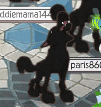 a black poodle is standing on a tiled floor next to a sign that says paris86