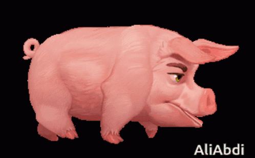 خوک GIF - خوک GIFs