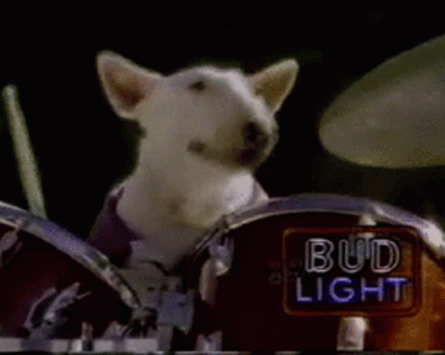 Drums Drumroll GIF - Drums Drumroll Dog GIFs