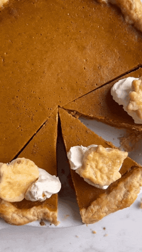 slices of pumpkin pie with whipped cream on top