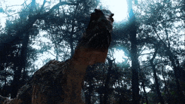 a dinosaur is standing in the middle of a forest with its mouth open