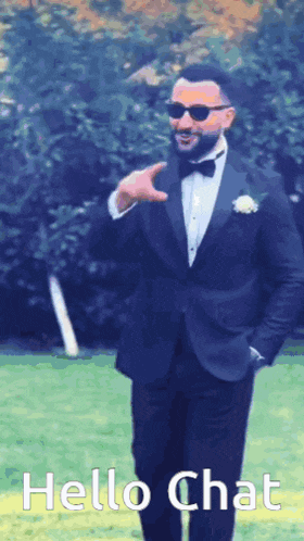 a man in a tuxedo and bow tie is standing in a field and says hello chat