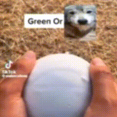 a person is holding a white ball in their hands with a picture of a seal behind it .