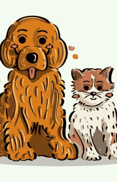 a dog and a cat sitting next to each other on a white background