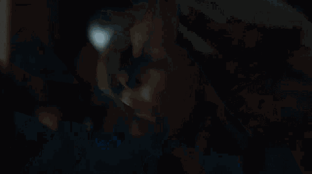 a blurry picture of a person 's face with a light shining through it