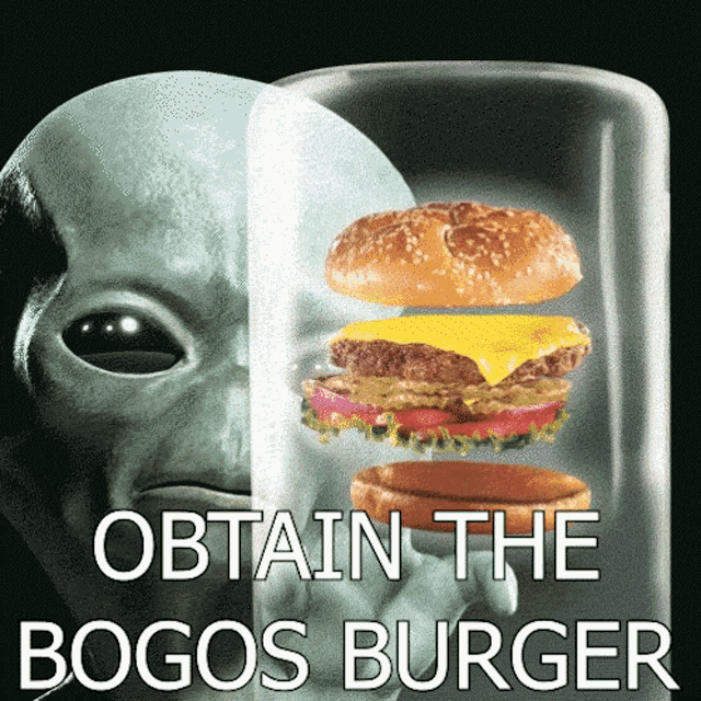 a picture of an alien and a hamburger with the words obtain the bogos burger below it