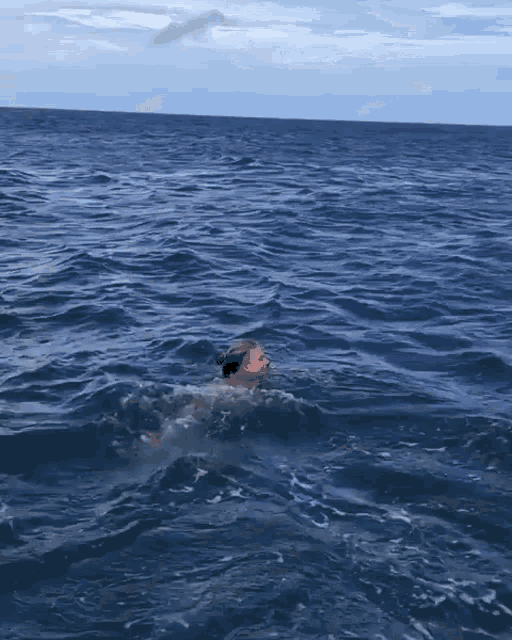 Dolphin Dolphine GIF - Dolphin Dolphine Delfin GIFs