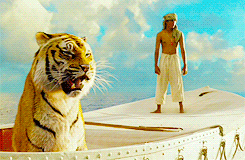 a man and a tiger are standing on a white surface