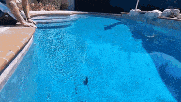 a man sits on the edge of a swimming pool looking at the water