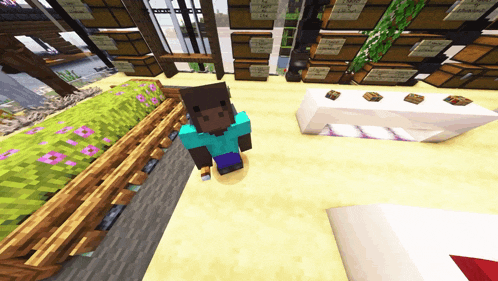 a minecraft character is standing in front of a fence