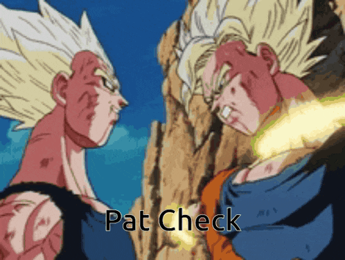 a picture of two cartoon characters with pat check written on it