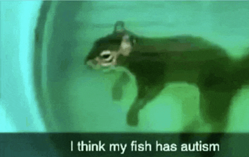 a fish is swimming in a tank with the words i think my fish has autism written on the bottom .