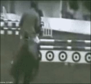 Animals Horse Ride GIF - Animals Horse Ride Rodeo GIFs