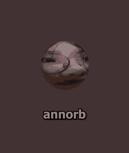 a picture of a person 's face with glasses and the word annorb below it