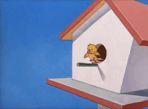 Tom And Jerry Bird GIF