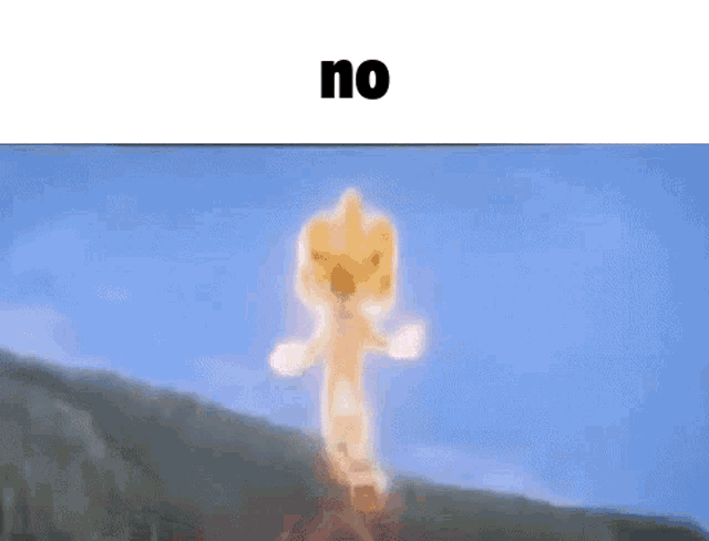 a picture of a cartoon character with the words `` no '' written on it .